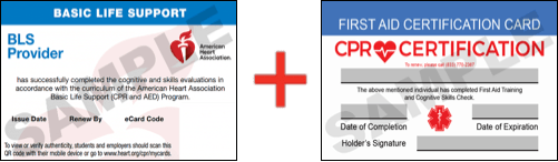 First Aid CPR Classes San Diego CPR Certification San Diego