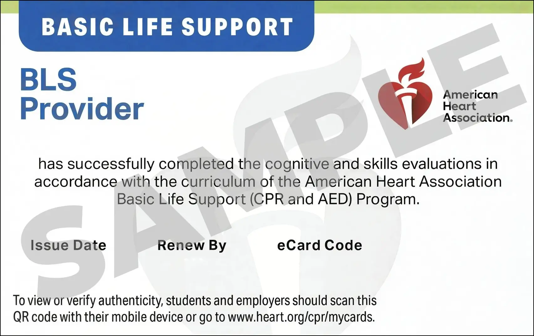 Sample American Heart Association AHA BLS CPR Card Certification from CPR Certification San Diego